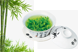 Ardrich_Bamboo_Greentea